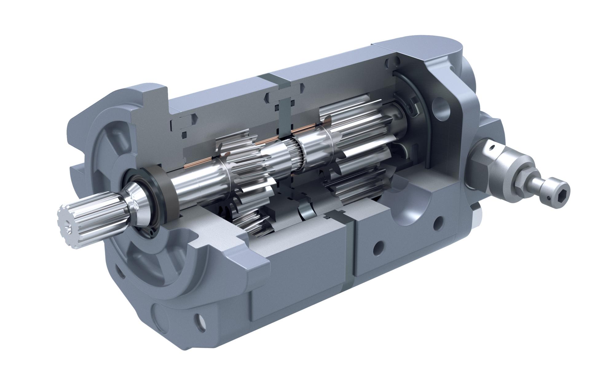 Low noise compact tandem pump cutaway
