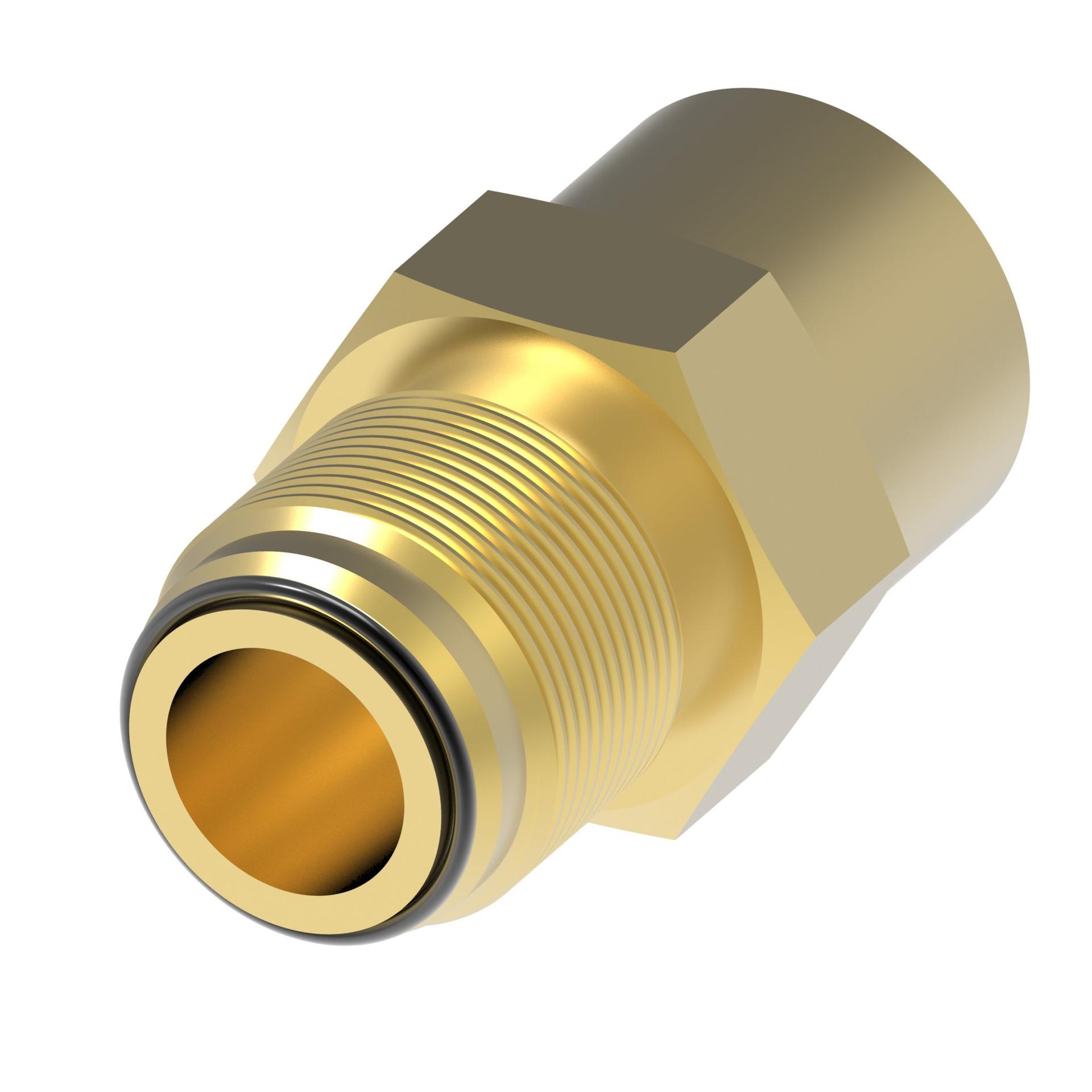 Straight Adapters 202123 (RIGHT)
