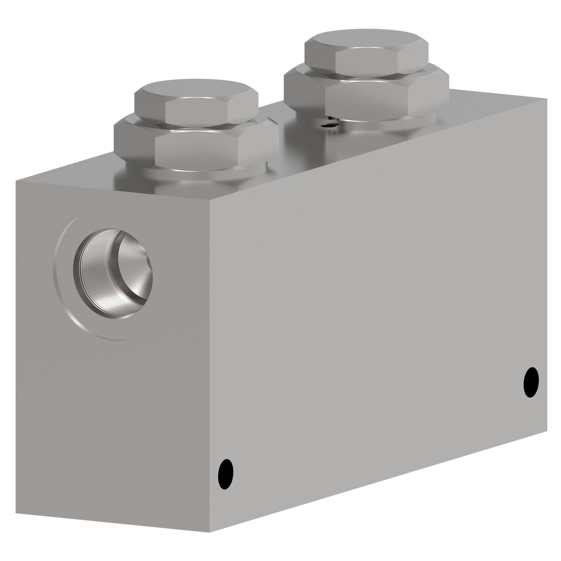 SICV Check Valves 401AA00082A (RIGHT)