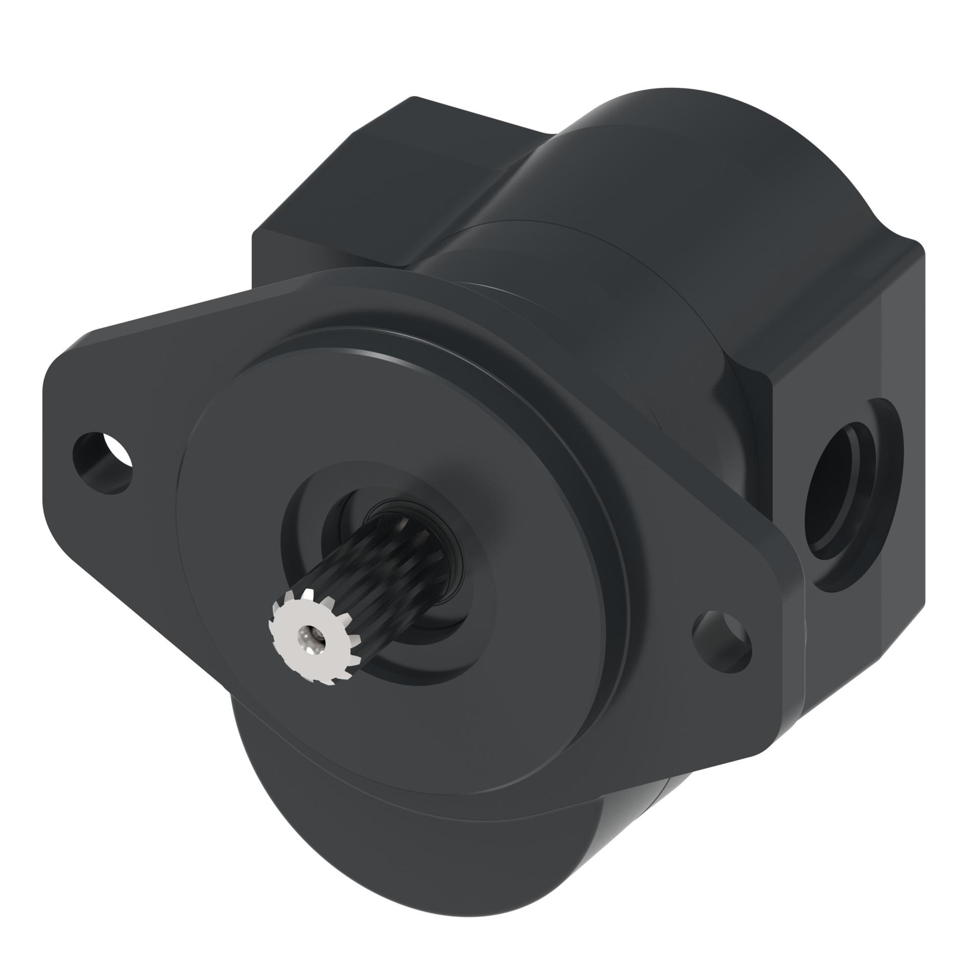 Rugid cast iron gear pumps category image