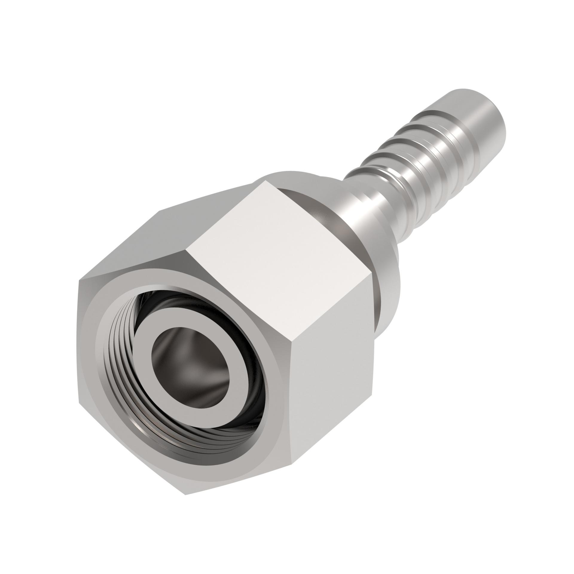 Hose Fittings 1S10DL5 (RIGHT)