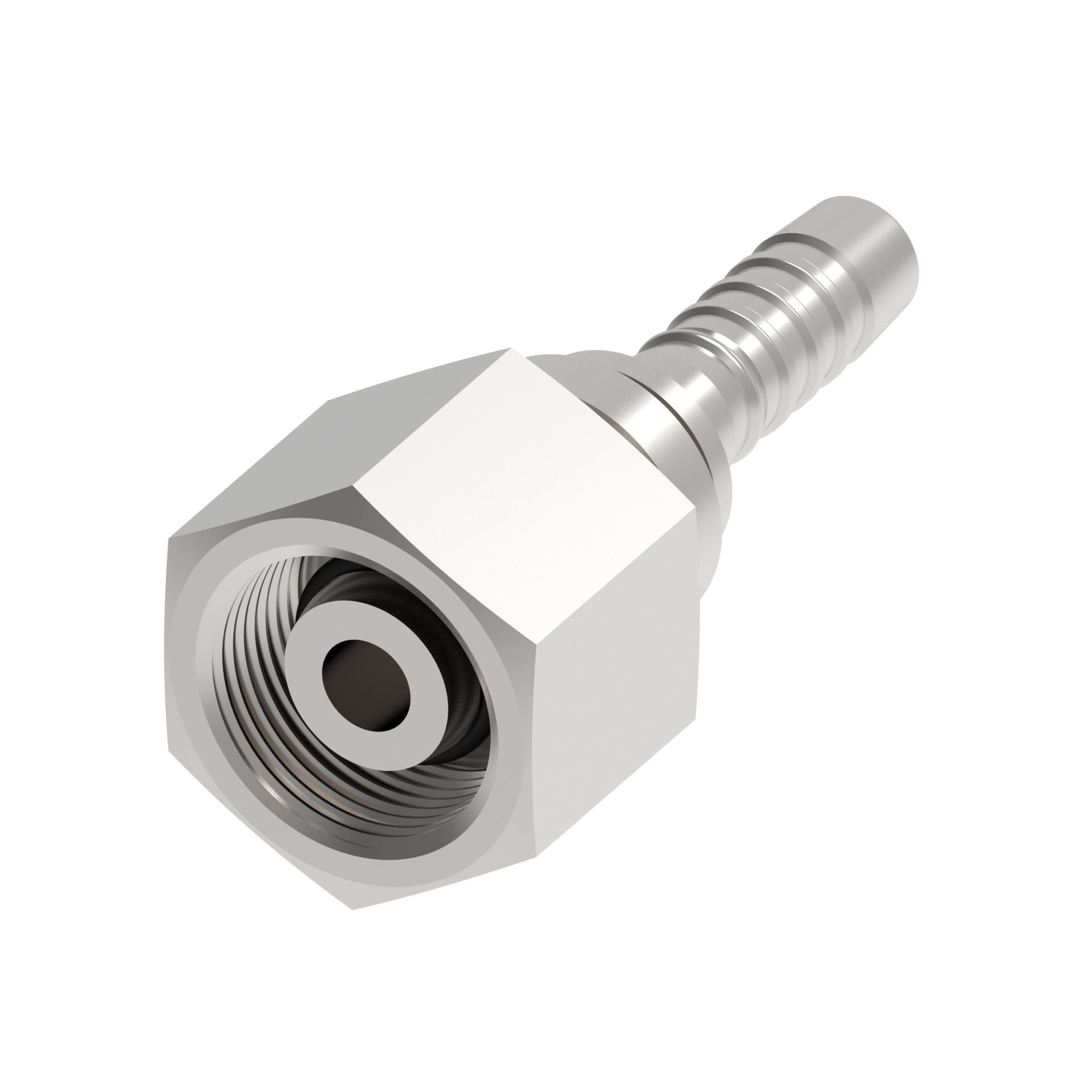 Hose Fittings 1S6DS5 [RIGHT]