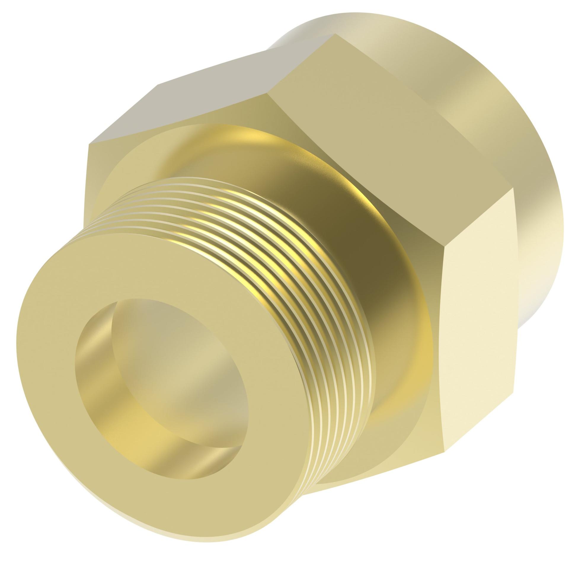Straight Adapters 202208 (RIGHT)
