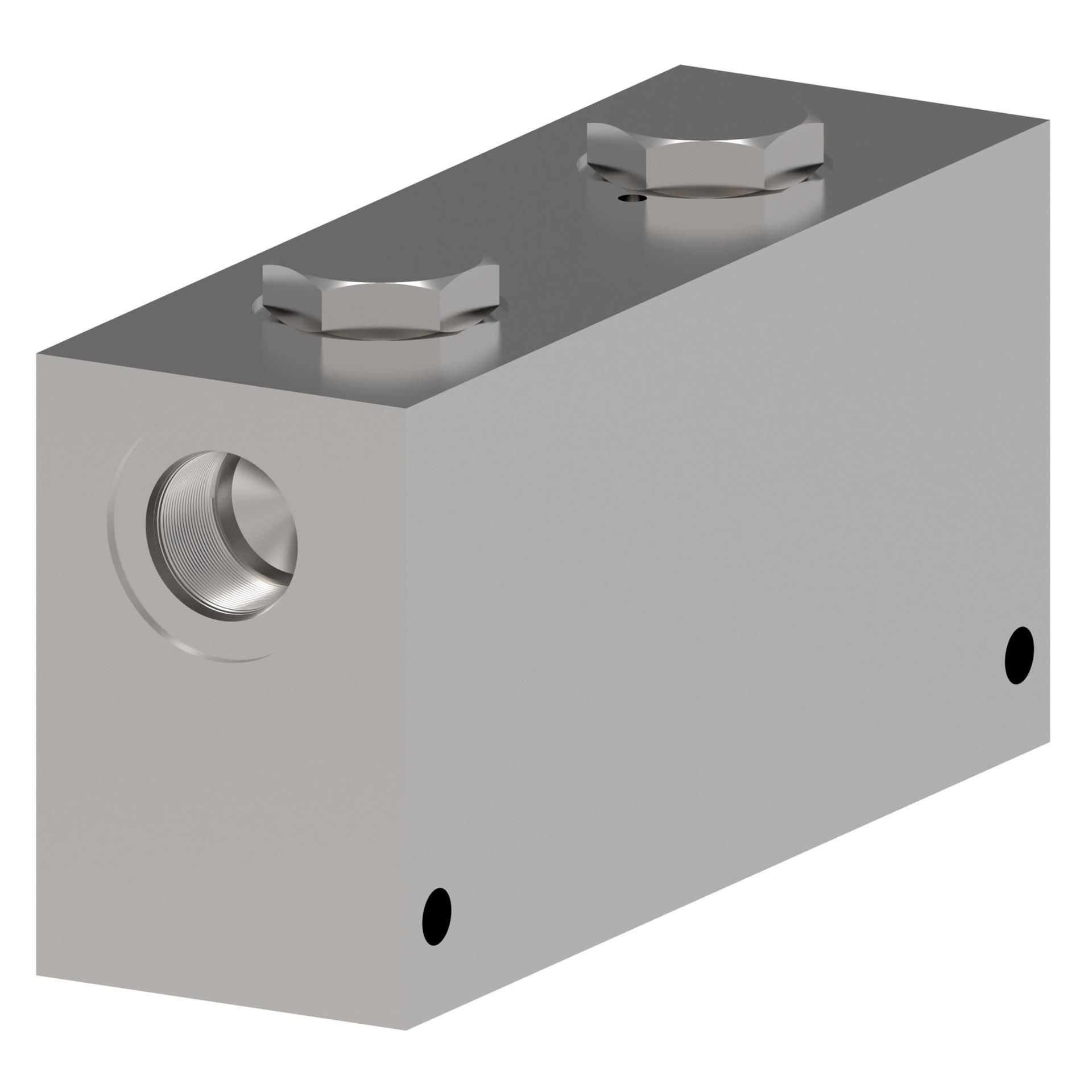 SICV Check Valves 401AA00410A (RIGHT)