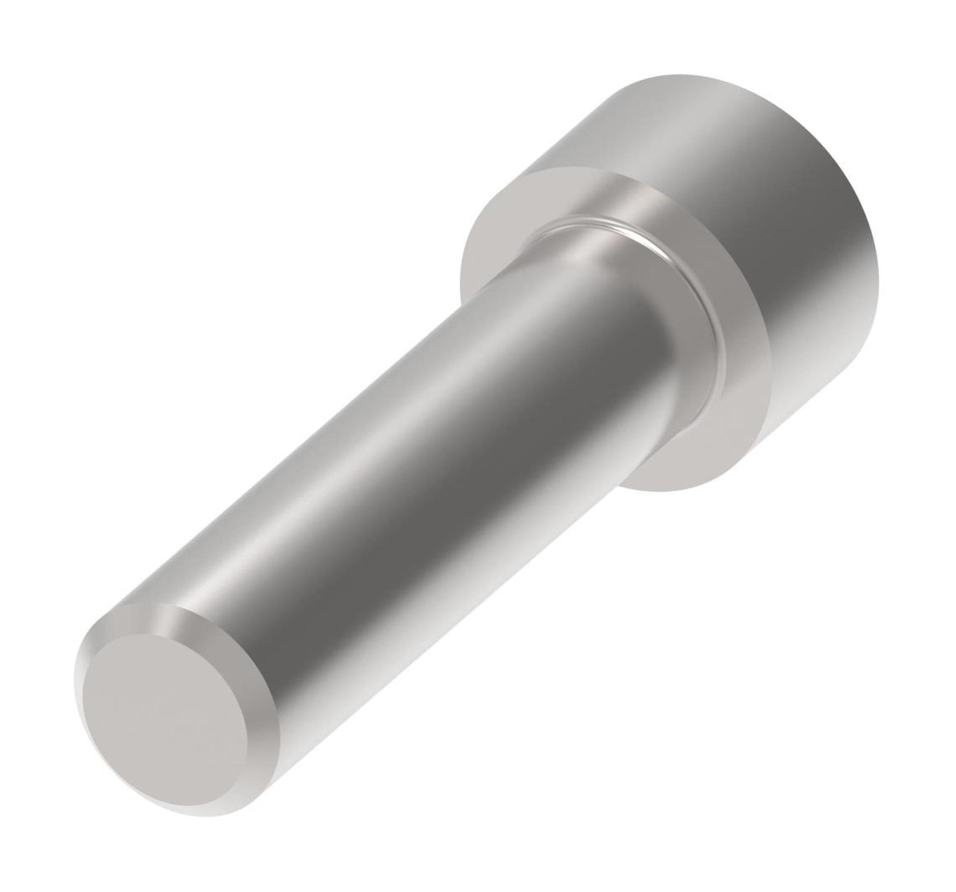 Pump Accessory Bolt 114978-100 (RIGHT)