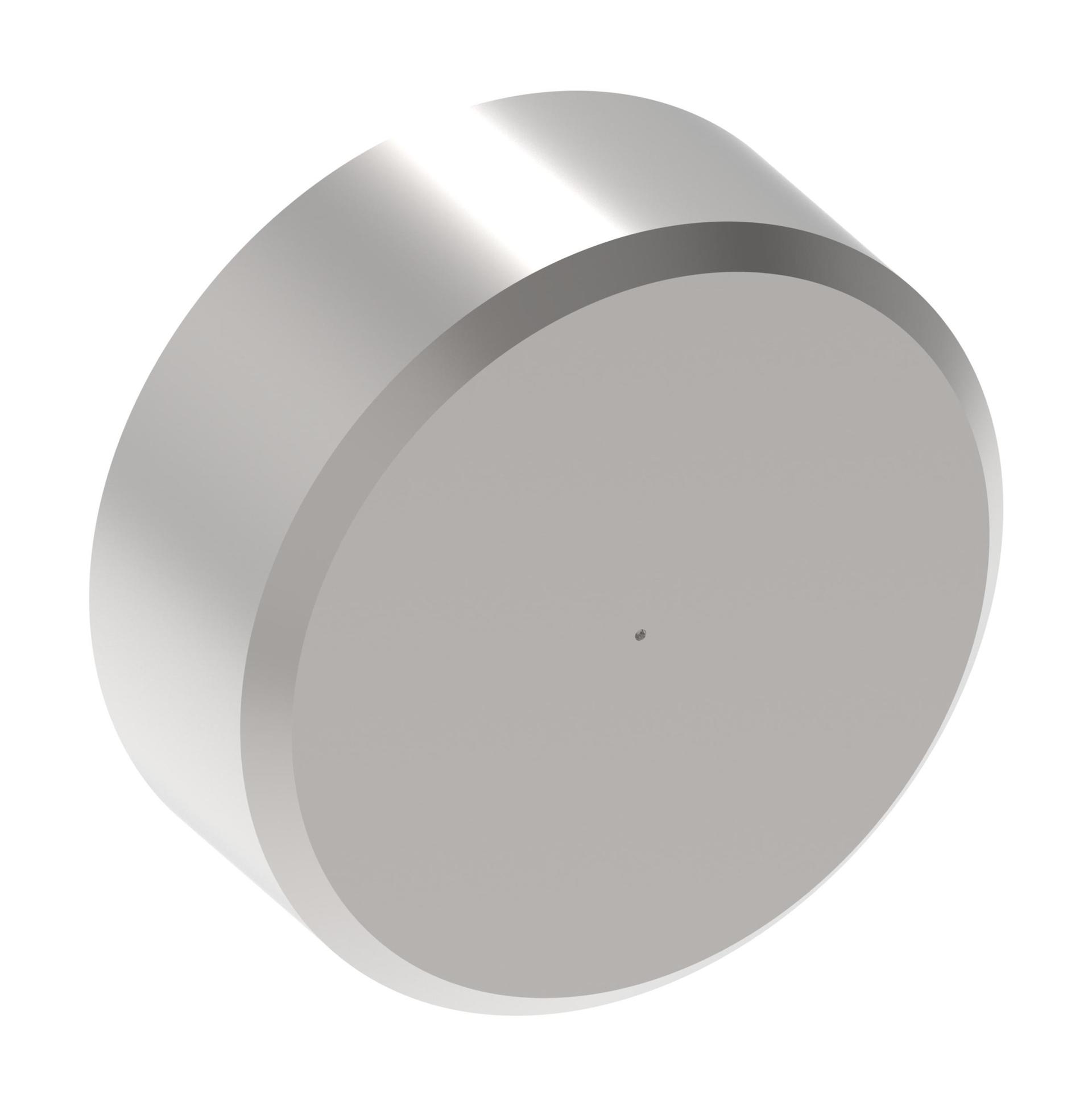 Danfoss  Kits and Spare Parts Caliper Piston 308452 (RIGHT)