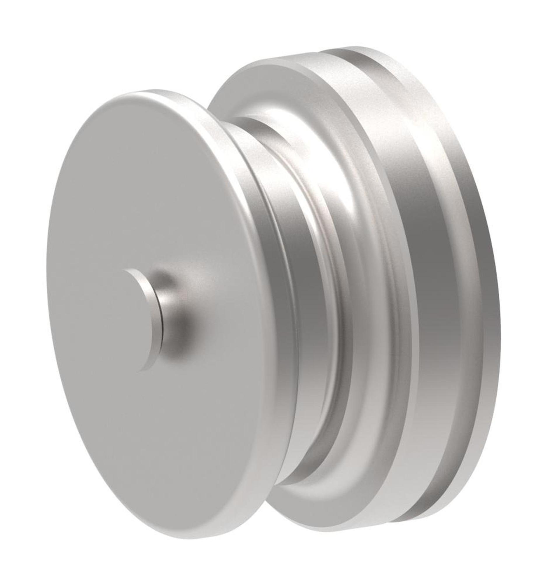 Danfoss  Kits and Spare Parts Caliper Piston 303866 (RIGHT)