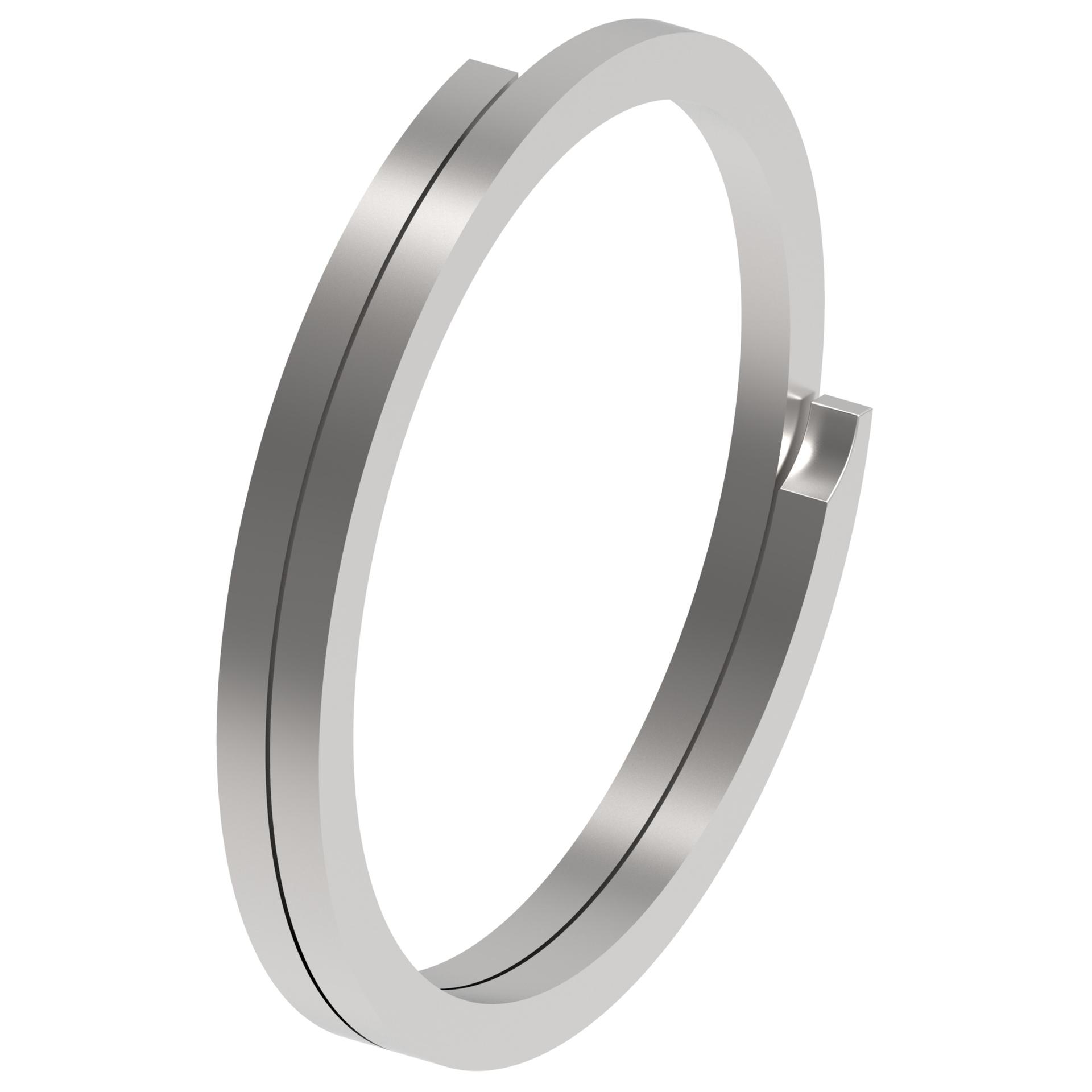 Danfoss Spare Part Ring and Clip 000190X0081 (RIGHT)