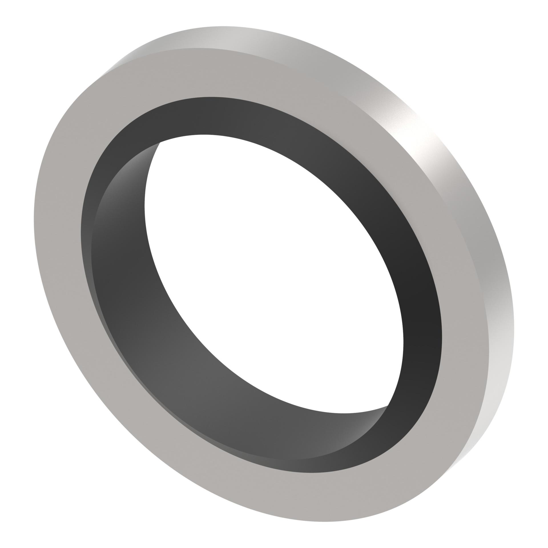 Danfoss Spare Part Seal D216-06 (RIGHT)