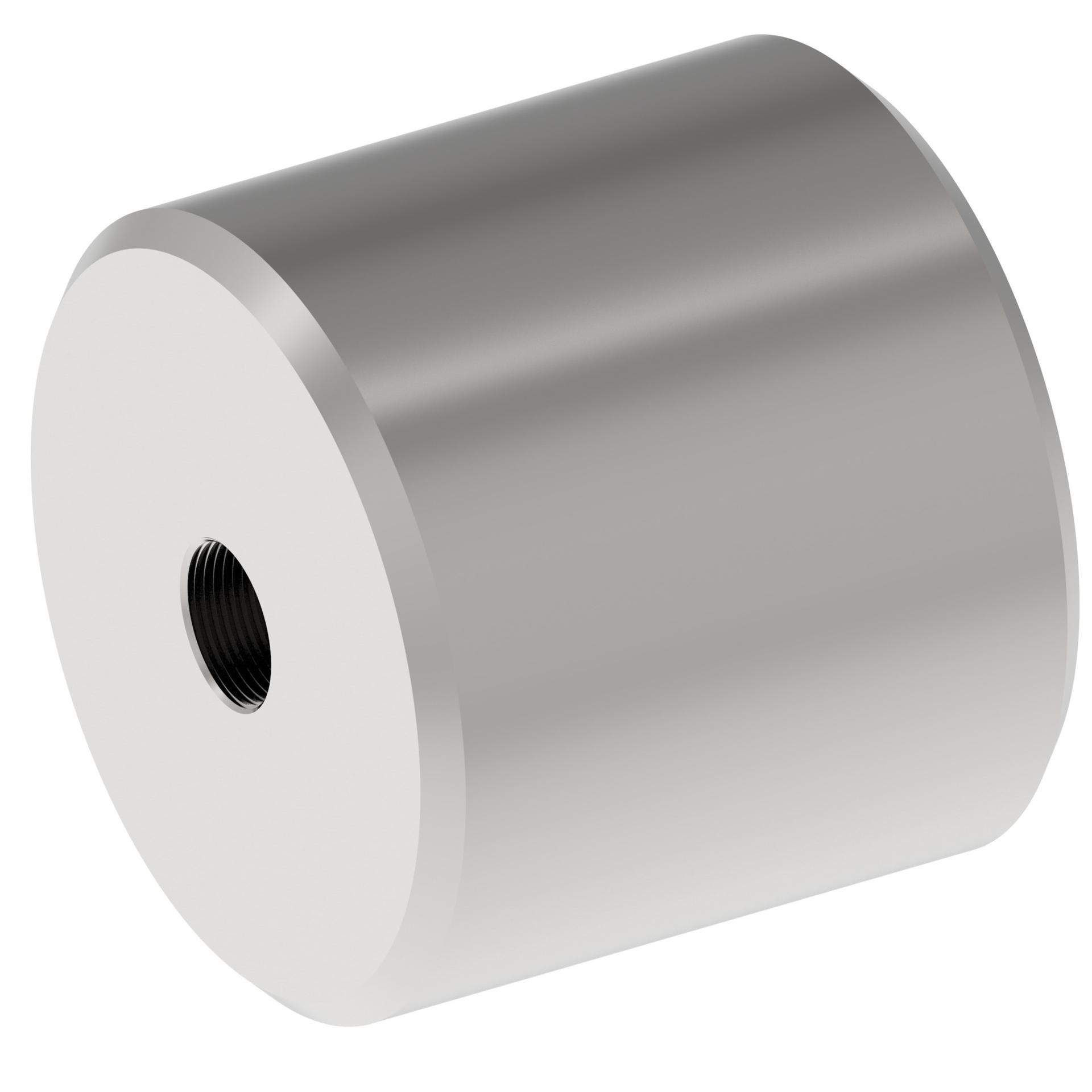Danfoss Cylinder Pistons N8-512-03 (RIGHT)
