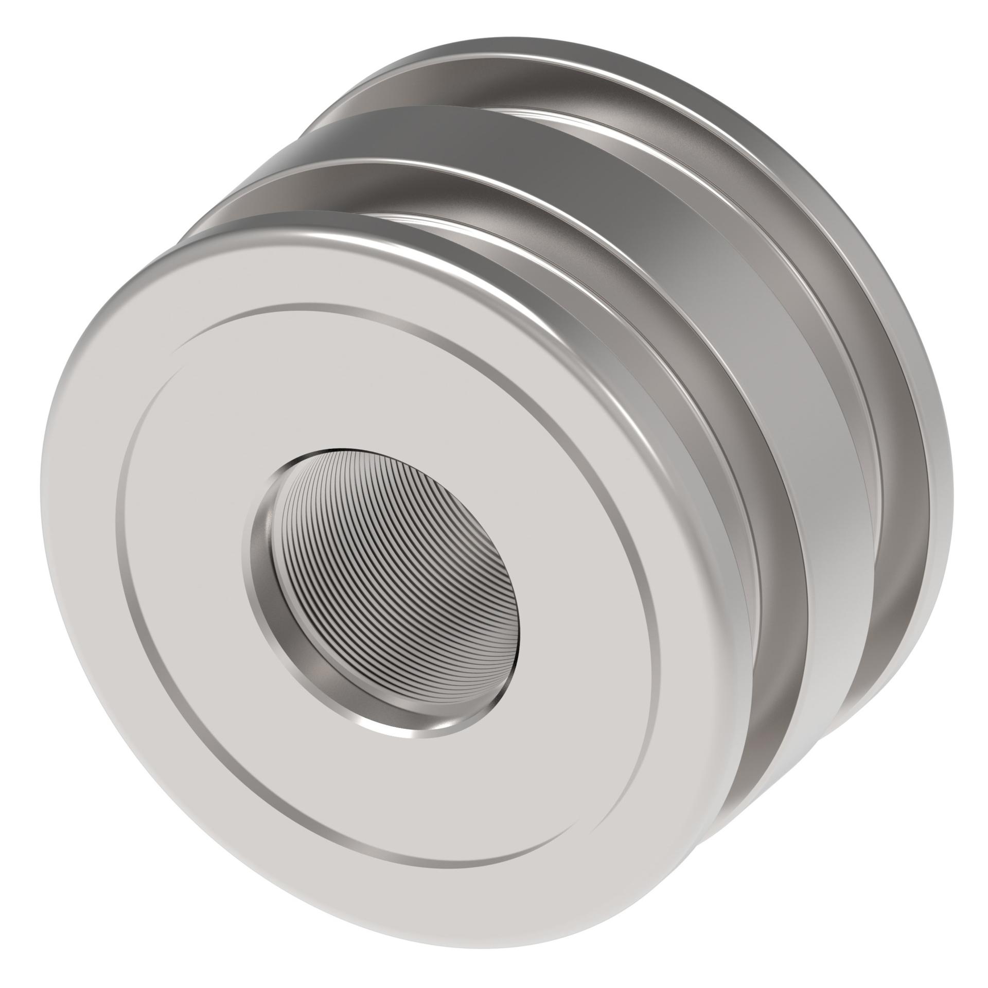 Danfoss Cylinder Pistons N8-532-05 (RIGHT)