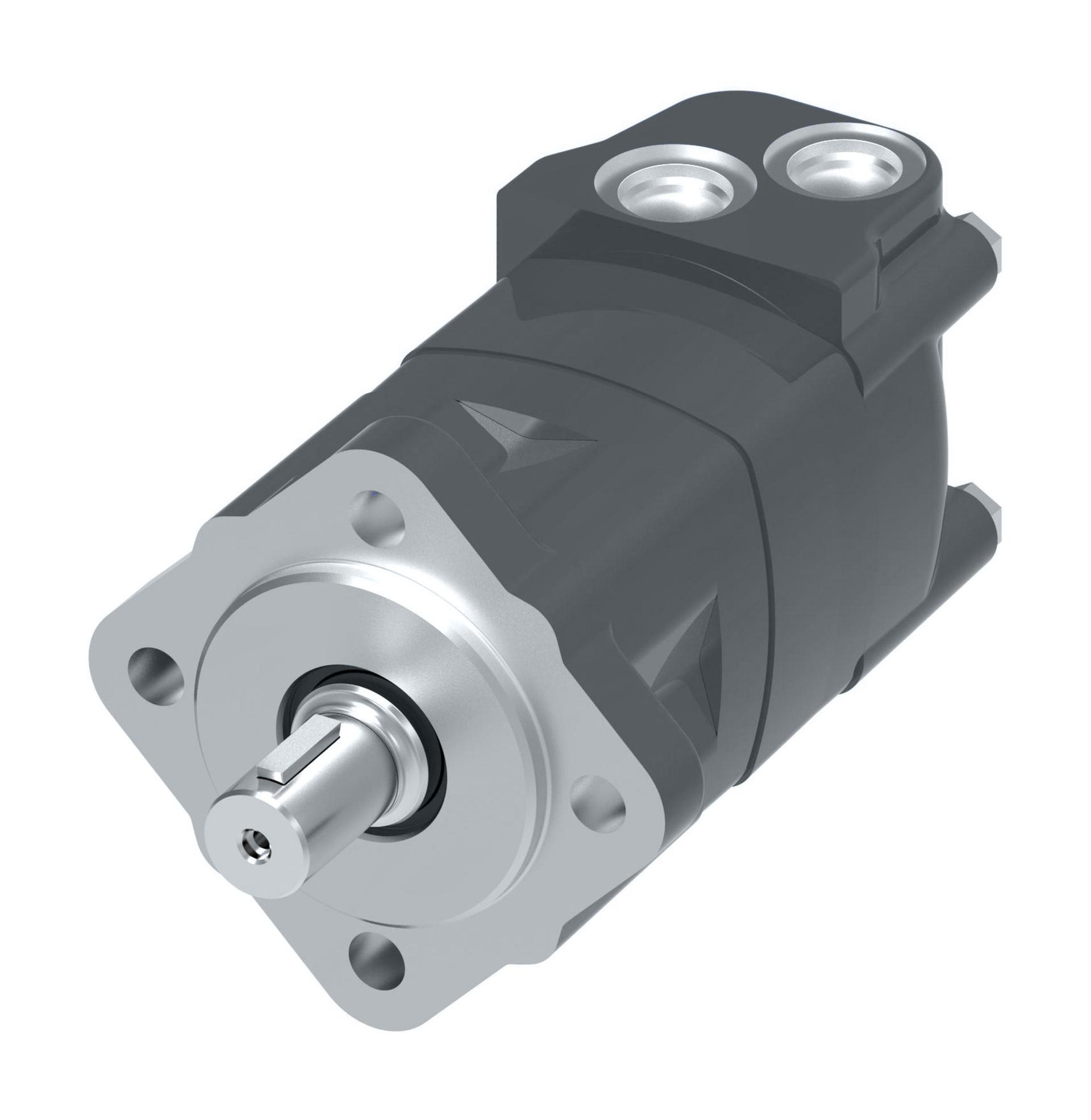 Danfoss Char-Lynn 2000 Series Disc Geroler StandardM02080AH01AA0100010000000AAAAF (RIGHT)