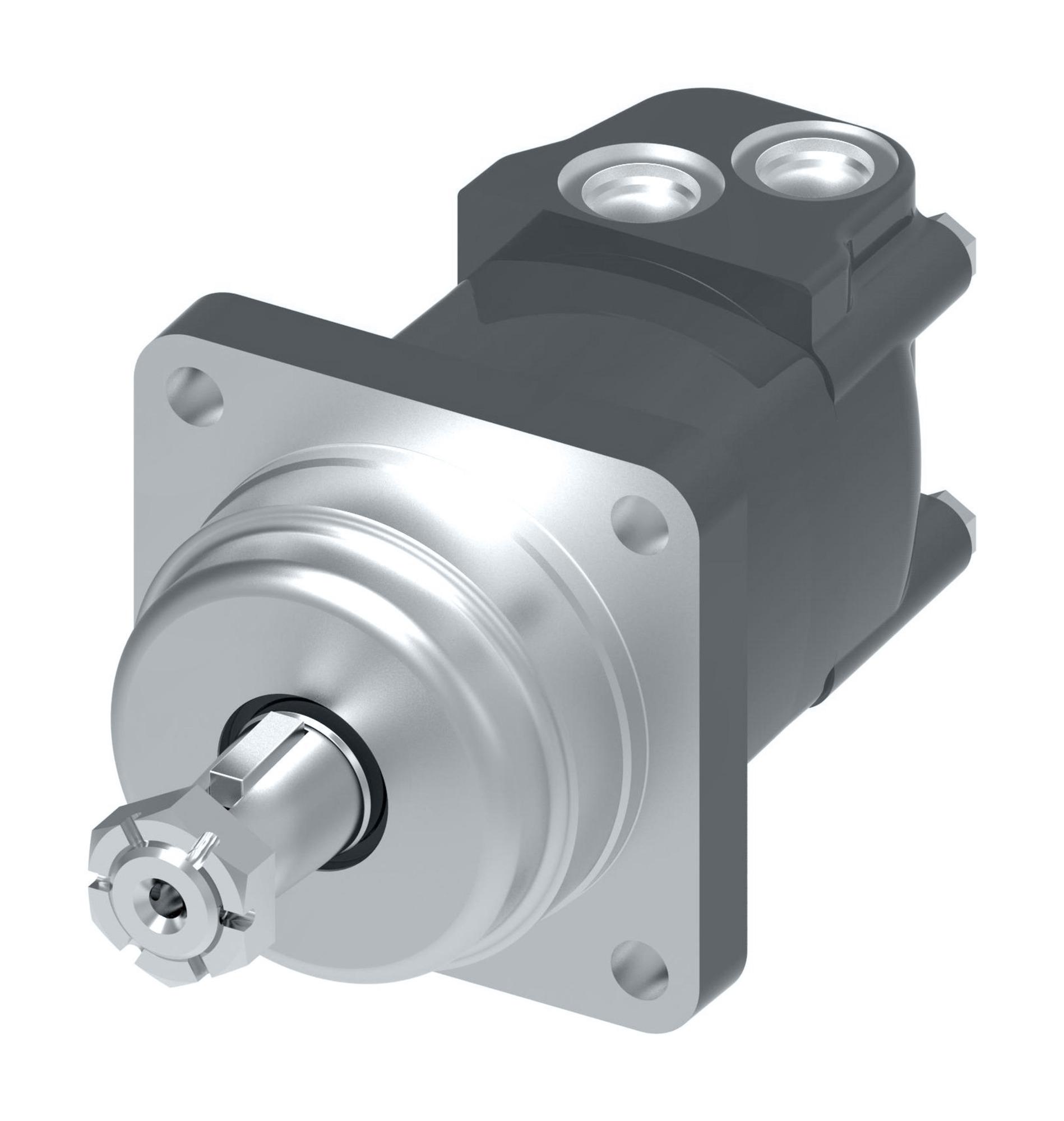 Danfoss Char-Lynn 2000 Series Disc Geroler WheelM02096AB03AA0100010000000ABAAF (RIGHT)
