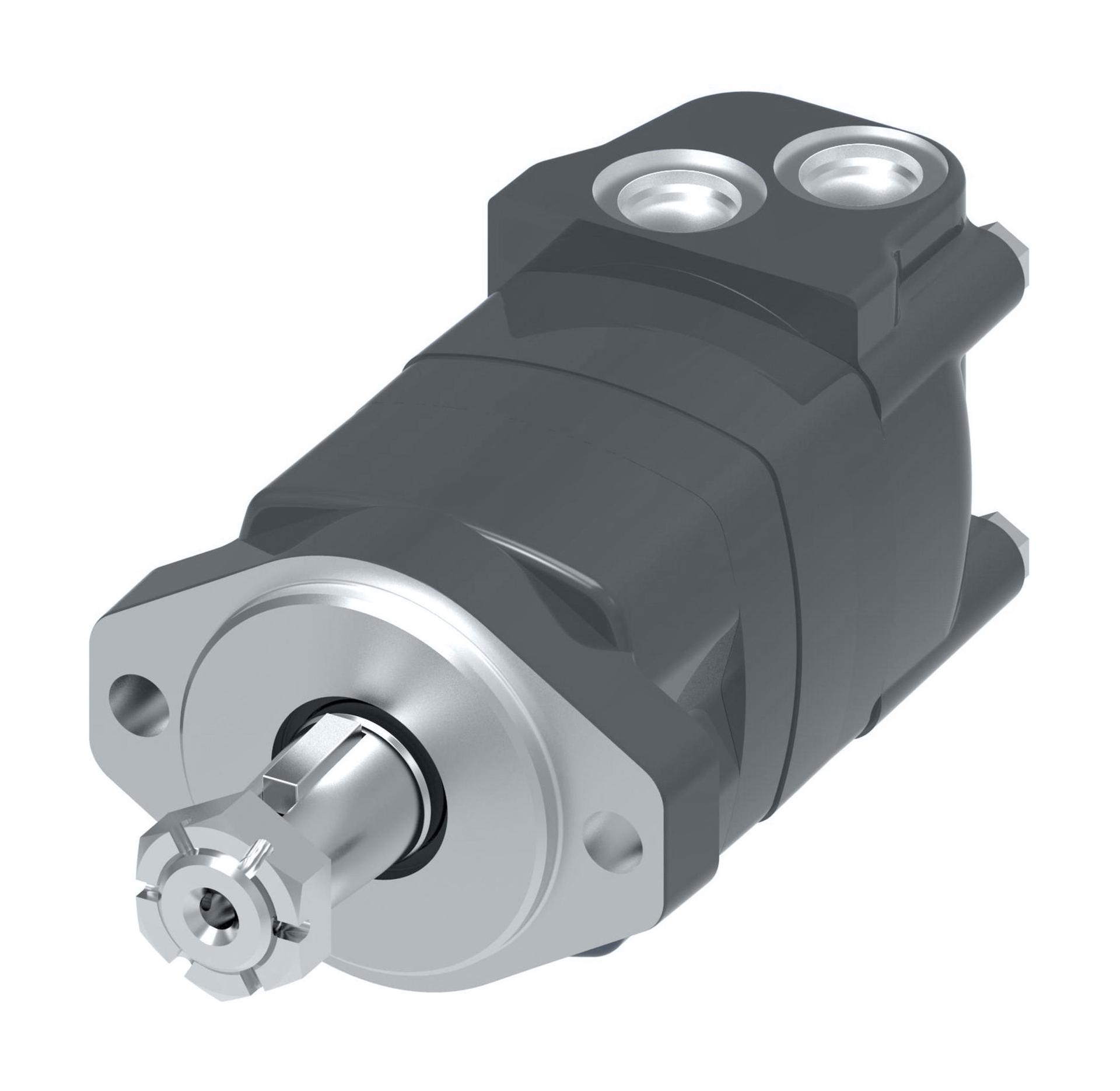 Danfoss Char-Lynn 2000 Series Disc Geroler StandardM02062AC03AA0100010000000AFAAF (RIGHT)