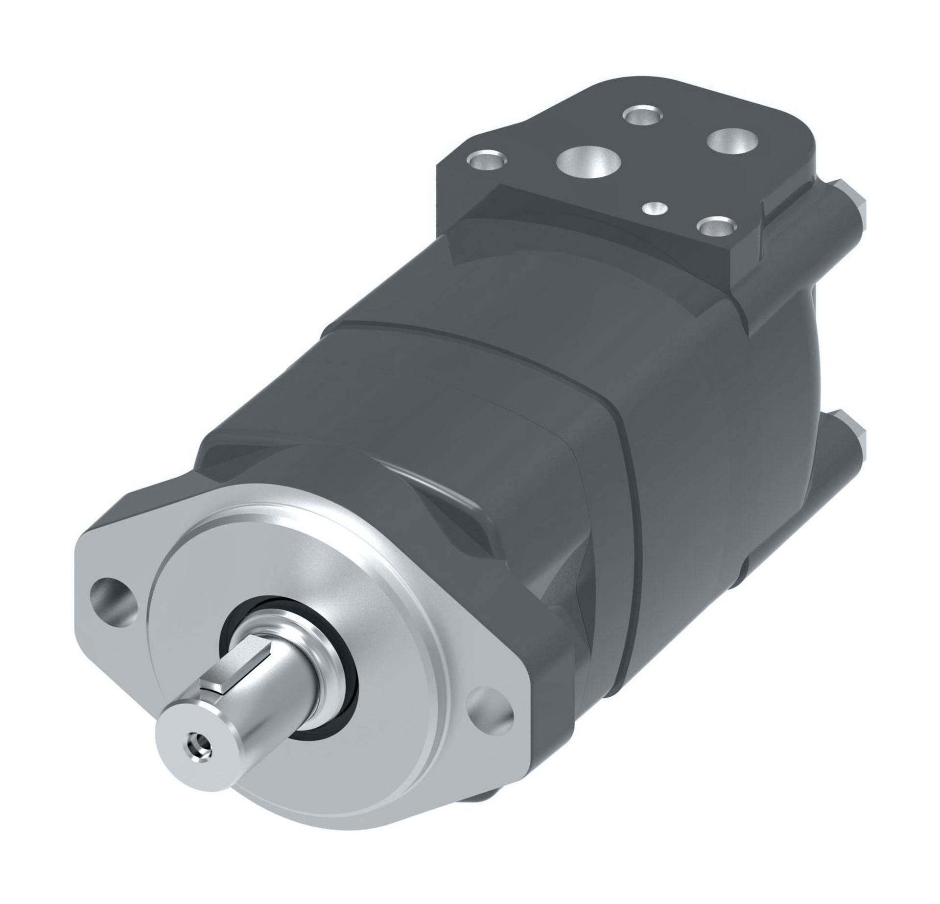 Danfoss Char-Lynn 2000 Series Disc Geroler StandardM02119AC01AE0200010000000AAAAF (RIGHT)