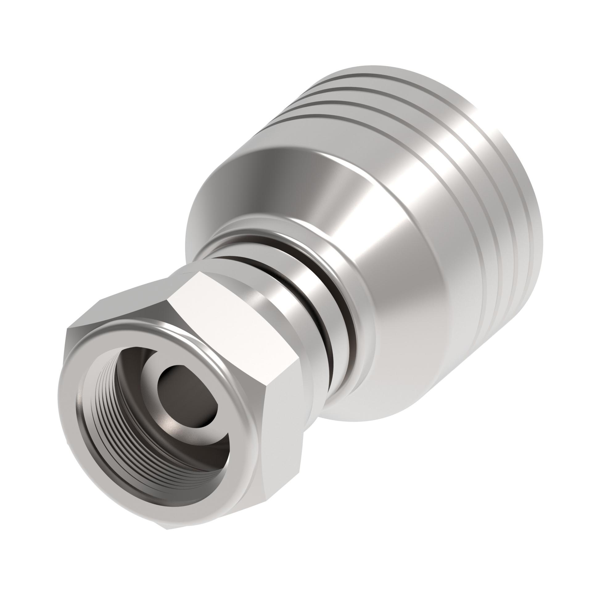 Hose Fittings 1B6BF6 (RIGHT)