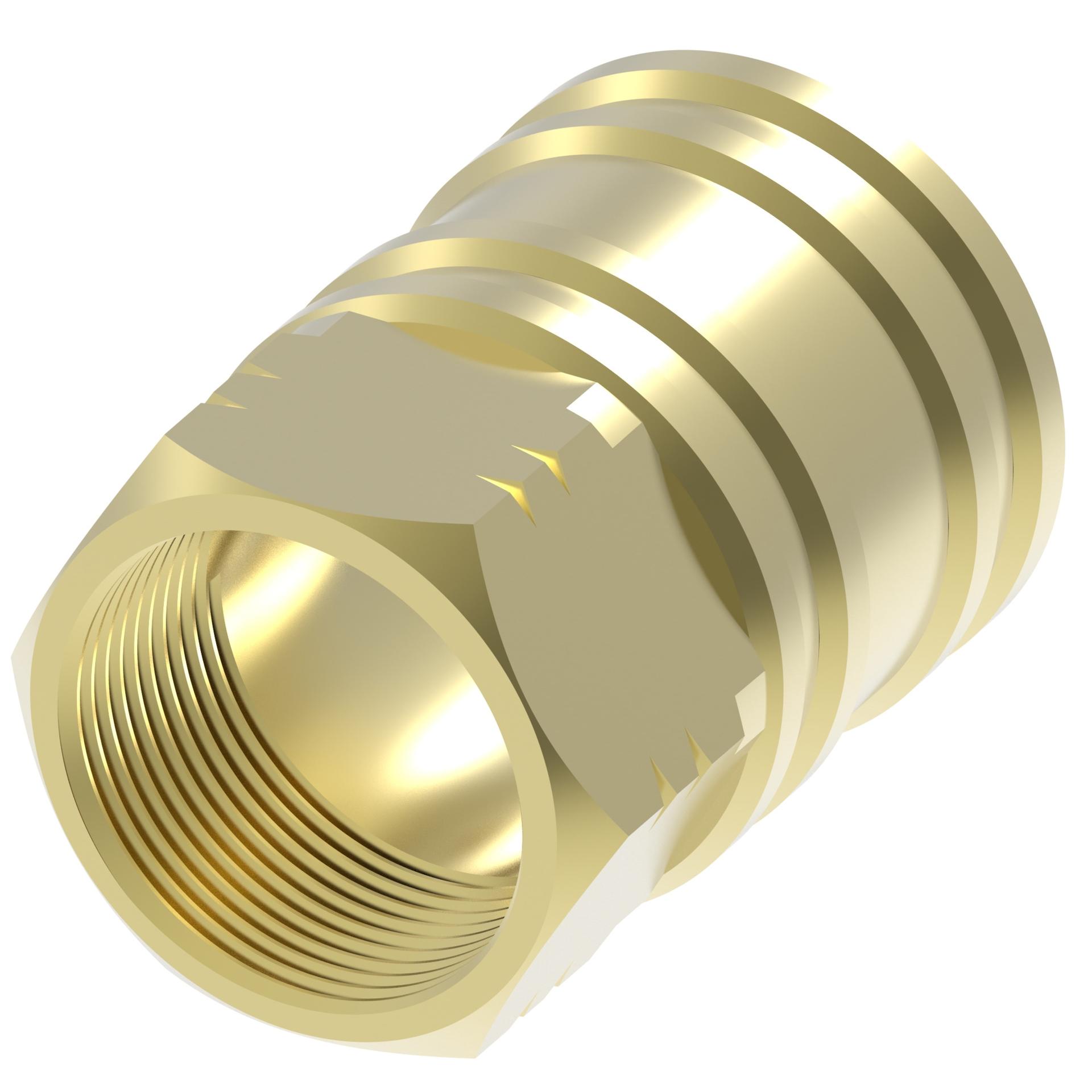 Quick Disconnect Couplings 16S51BS (RIGHT)