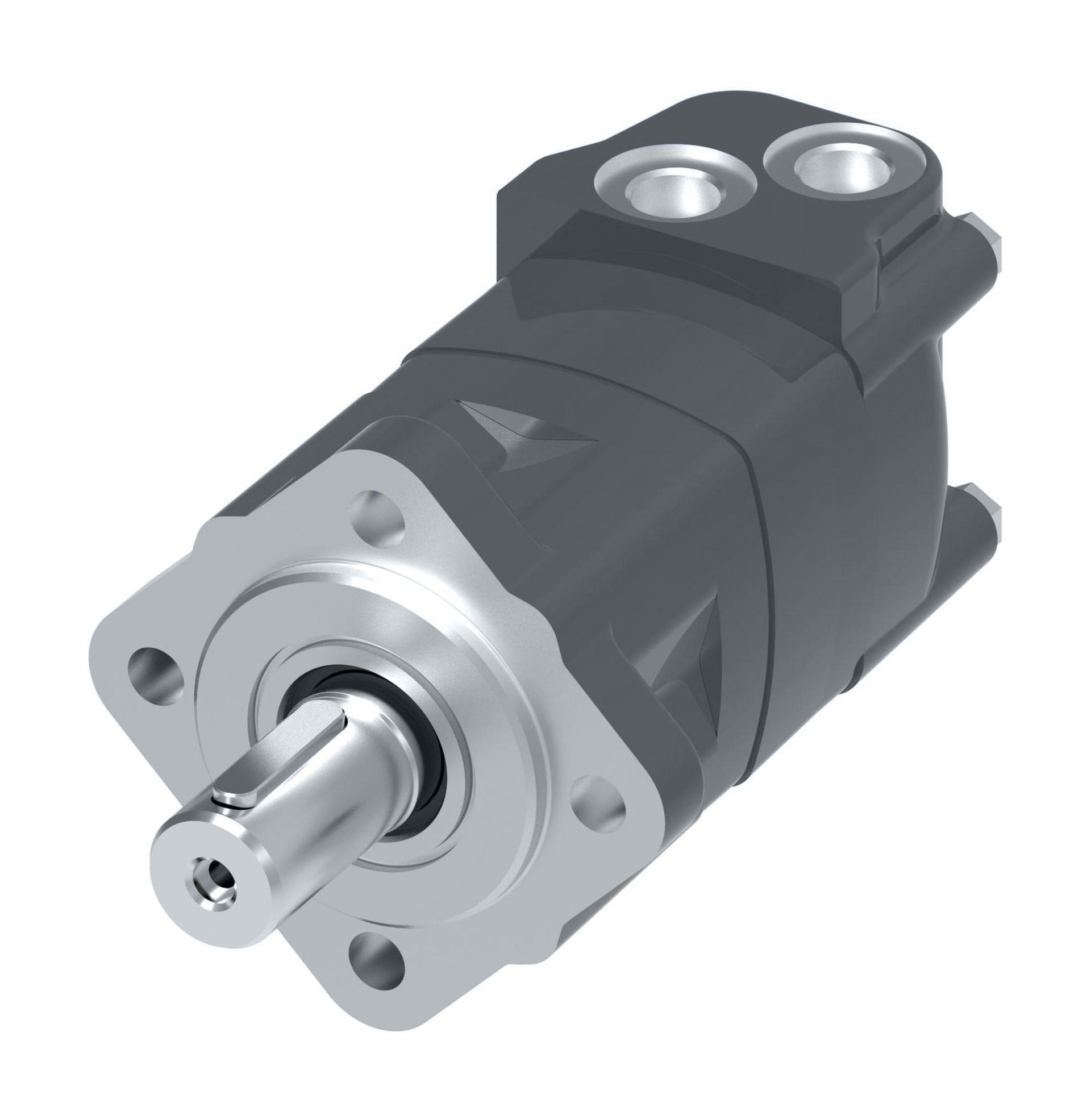 Danfoss Char-Lynn 2000 Series Disc Geroler StandardM02080AH16AG0200014000000ABAAF (RIGHT)