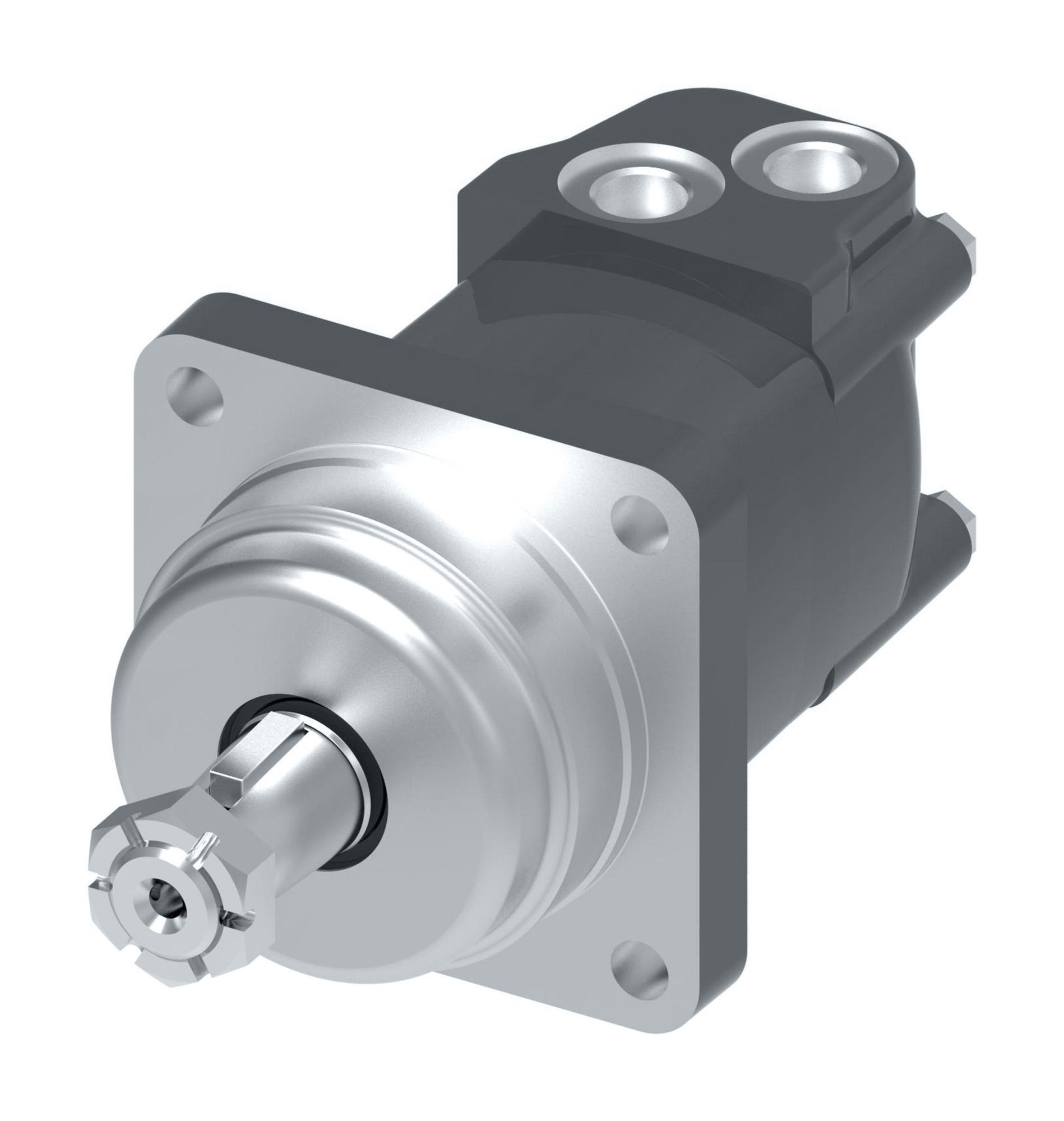 Danfoss Char-Lynn 2000 Series Disc Geroler WheelM02096AB03AG0200010000000ABAAF (RIGHT)