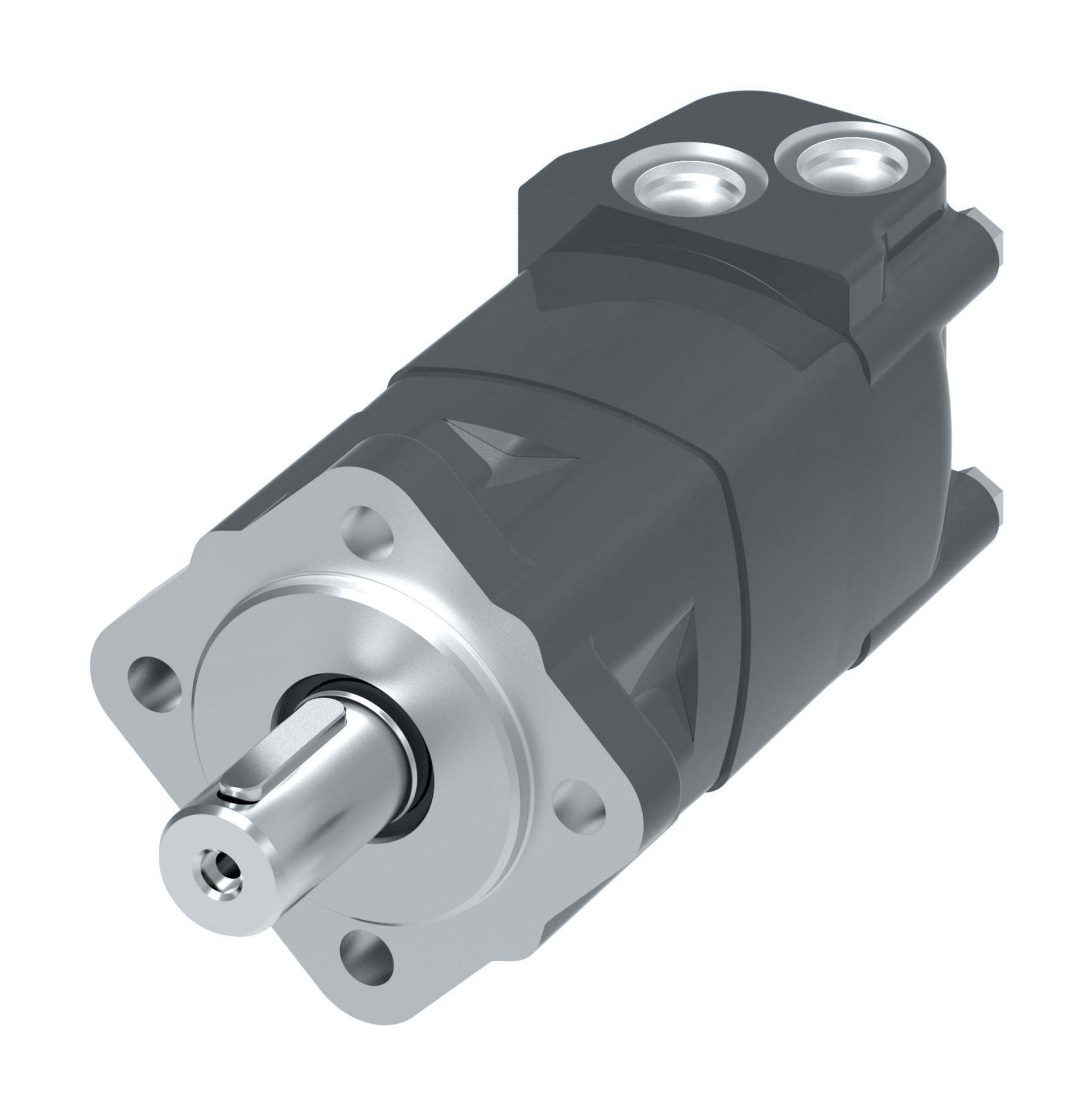 Danfoss Char-Lynn 2000 Series Disc Geroler StandardM02119AH16AA0100010000000AFAAF (RIGHT)