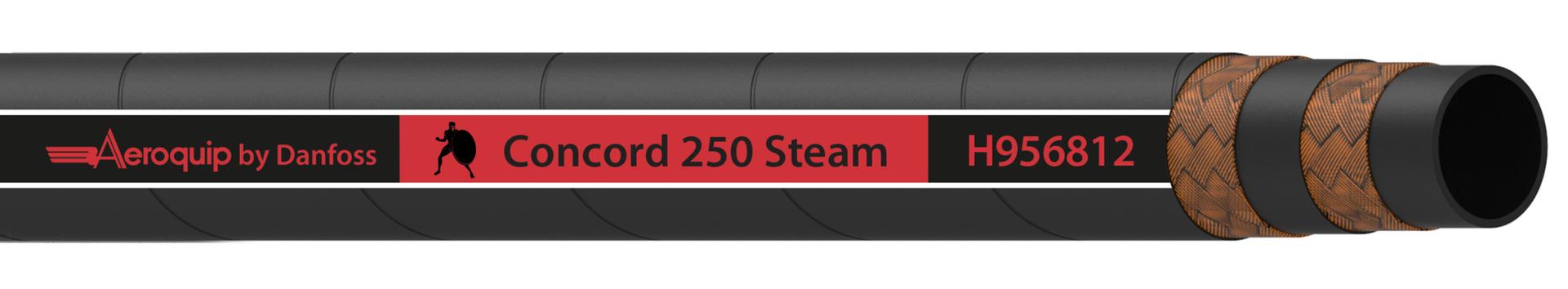 Aeroquip by Danfoss Concord 250 steam industrial hose steam (CENTER)